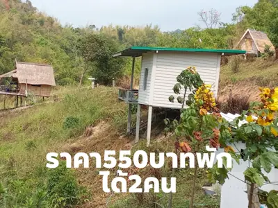 แจ่มจริงลานสเตย์ รูปที่ 1
