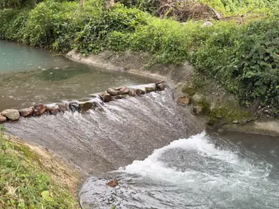 ลานกางเต็นท์ สวนตาสิทธิ์ Outdoor รูปที่ 1