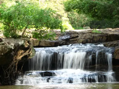 ลานกางเต็นท์ทุ่งบัวสวรรค์ รูปที่ 3
