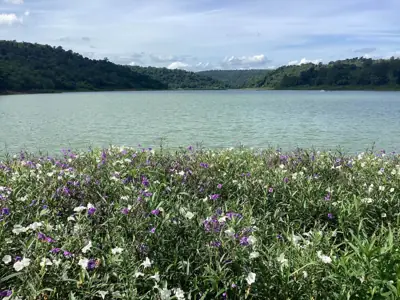 บ้านไร่ริมธาร ลำแชะ รูปที่ 3