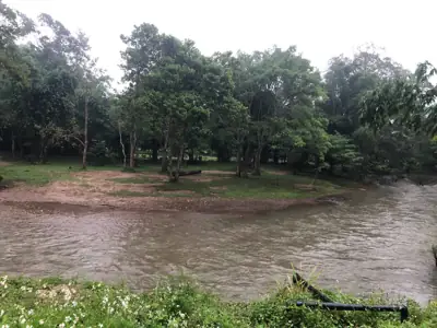 ปันหวาน แคมป์กราวด์ Panwan Campground รูปที่ 2