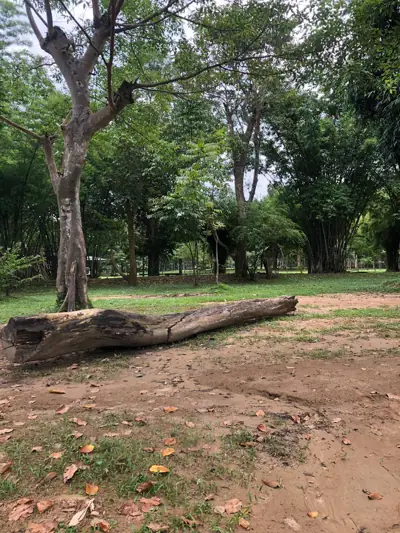 ปันหวาน แคมป์กราวด์ Panwan Campground รูปที่ 9