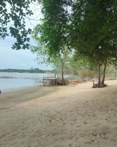 ลานเลแคมป์ปิ้ง รูปที่ 4
