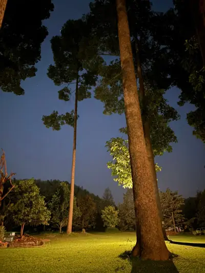 สวนรื่นรมย์แคมป์ สะนำ รูปที่ 4