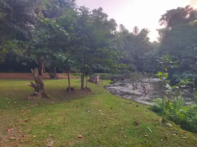 ไร่เกาะกลาง รูปที่ 10