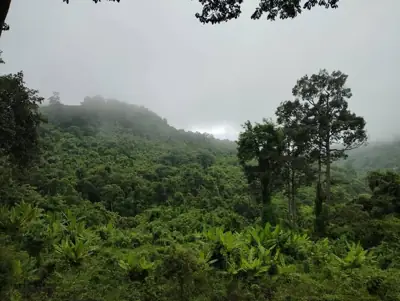 บ้านภูมาตา (Phu Mata) รูปที่ 2