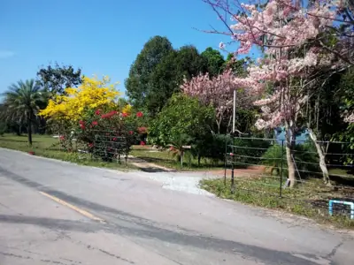 บ้านภูมาตา (Phu Mata) รูปที่ 4