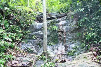 ลานกางเต็นท์วนอุทยานควนเขาวัง รูปที่ 4