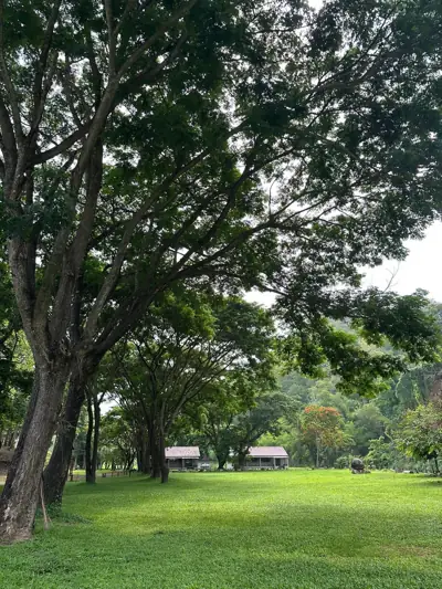 ลานกางเต็นท์จามจุรี รูปที่ 5