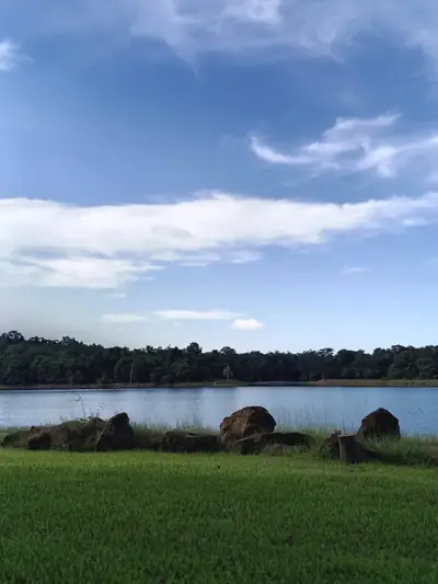 จุดกางเต็นท์วนอุทยานภูผาแด่น รูปที่ 3