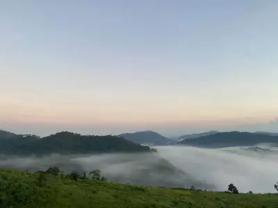 ลานกางเต็นท์ม่อนหมอกรับตะวัน ดอยป่าหวาย รูปที่ 1