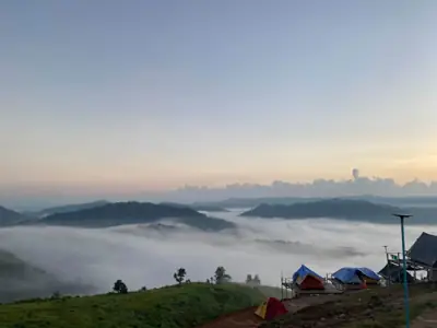 ลานกางเต็นท์ม่อนหมอกรับตะวัน ดอยป่าหวาย รูปที่ 2