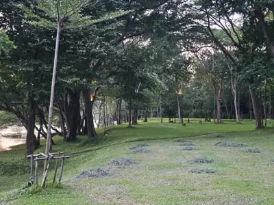 COOL CAMP ลานกางเต้นท์ รูปที่ 5