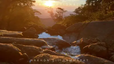 จุดกางเต็นท์ยอดเขาหลวง (เส้นทางคีรีวง) รูปที่ 2