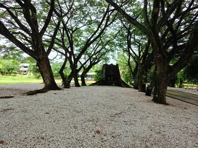 ไร่ภูพฤกษา รีสอร์ท รูปที่ 1