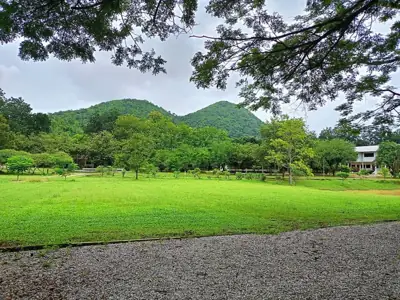 ไร่ภูพฤกษา รีสอร์ท รูปที่ 2
