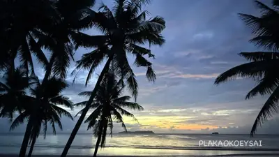ลานกางเต็นท์ปลาเก๋าเกยทราย รูปที่ 1