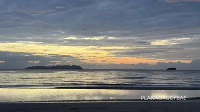 ลานกางเต็นท์ปลาเก๋าเกยทราย รูปที่ 3