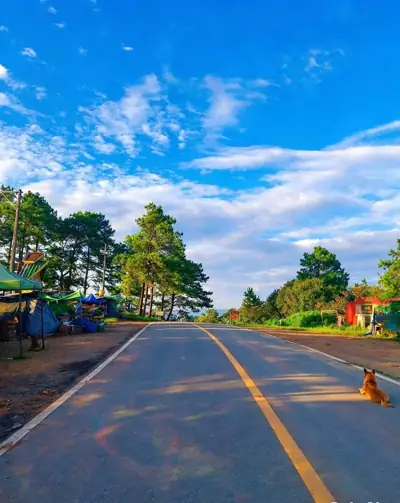 ลานกางเต็นท์ดอยม่อนจอง รูปที่ 1