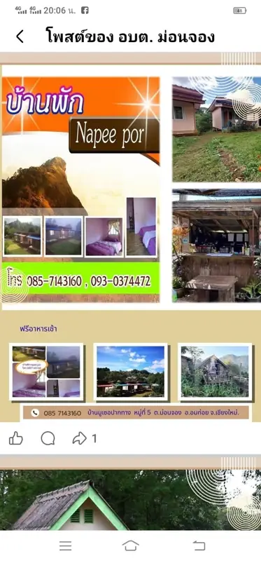 ลานกางเต็นท์ดอยม่อนจอง รูปที่ 10