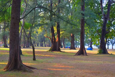 ลานกางเต็นท์หาดในยาง รูปที่ 1