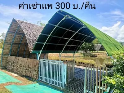 นีออนแคมป์ บ้านพุตุม รูปที่ 1