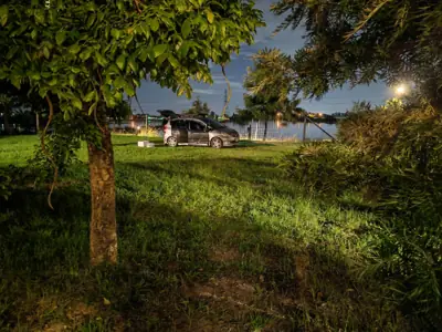 Birdyard Camping รูปที่ 1