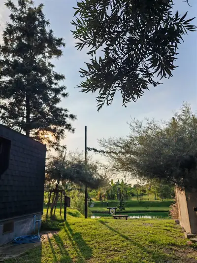 Birdyard Camping รูปที่ 4