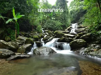 ลานกางเต็นท์ถ้ำสะเกิน รูปที่ 3