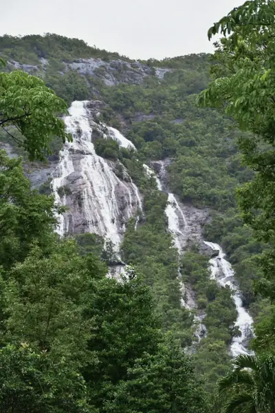 ลานกางเต็นท์อุทยานแห่งชาติน้ำตกหงาว รูปที่ 1