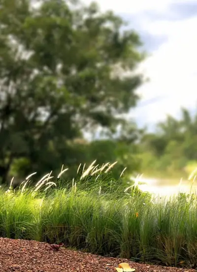 เชอรี่ฮับ สโตน แคมป์ รูปที่ 8