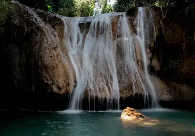 ลานกางเต็นท์ดอยภูนาง รูปที่ 10