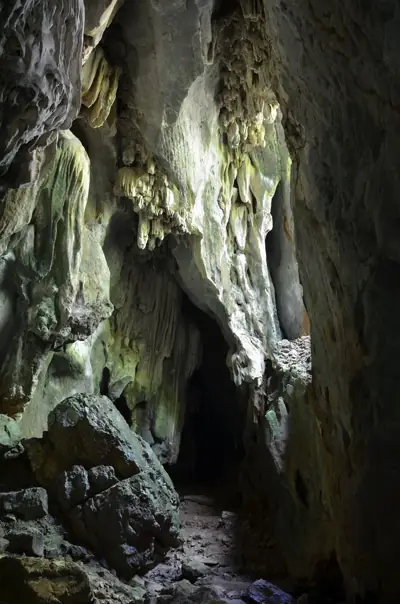 ลานกางเต็นท์ดอยภูนาง รูปที่ 4