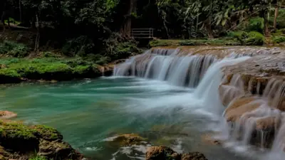 ลานกางเต็นท์ดอยภูนาง รูปที่ 7