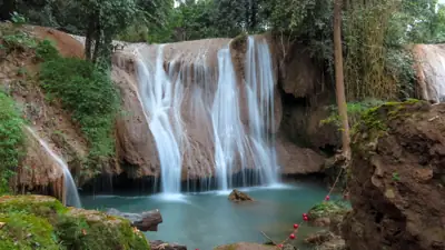 ลานกางเต็นท์ดอยภูนาง รูปที่ 8