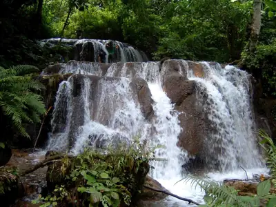 ลานกางเต็นท์โครงการบ้านเล็กในป่าใหญ่ รูปที่ 10