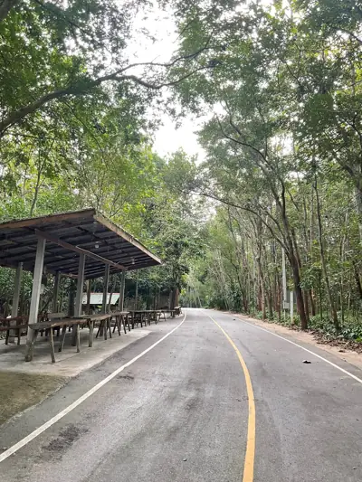 213ที่นี่ผาสิงห์ Cafe Resort & Camping รูปที่ 3