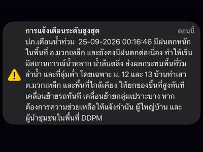 ปลาวาฬหลงทาง Camp & Cafe รูปที่ 1