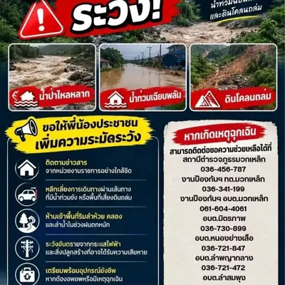 ปลาวาฬหลงทาง Camp & Cafe รูปที่ 2