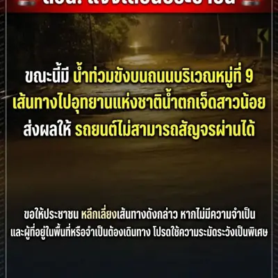 ปลาวาฬหลงทาง Camp & Cafe รูปที่ 3