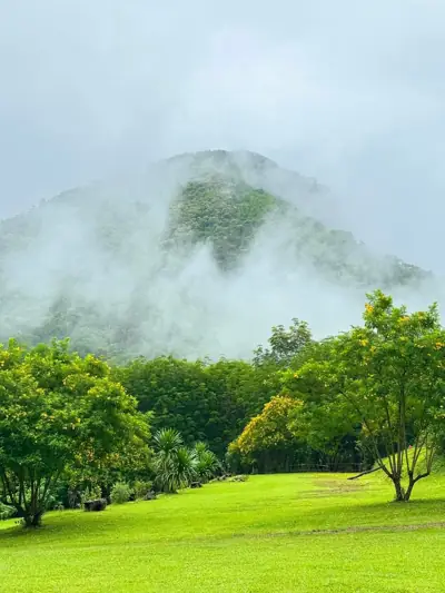 บ้านน้องเติร์ด รูปที่ 2