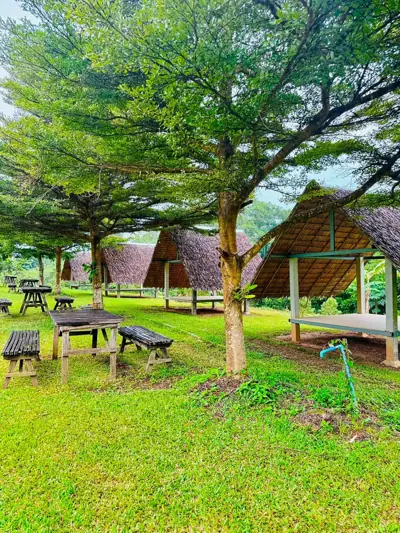 บ้านน้องเติร์ด รูปที่ 9