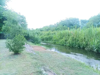สวนสานฝันพ่อ ป่าละอู ป่าเด็ง / SAN FHAN PHOR GARDEN Camping รูปที่ 1