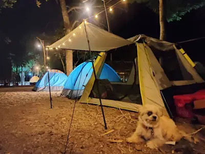 Cherseeya Camping เฌอซีญ่าแคมป์ปิ้ง รูปที่ 1