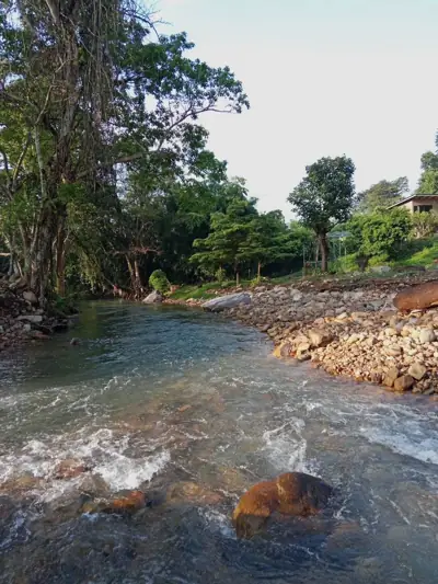 ธารล้อมริมเขา Than Lorm Rim Khao รูปที่ 4