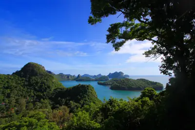 ลานกางเต็นท์วัวตาหลับ รูปที่ 7