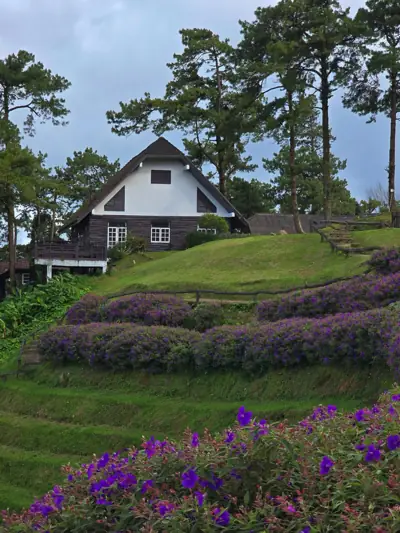 ลานกางเต็นท์เอื้องเงิน รูปที่ 9
