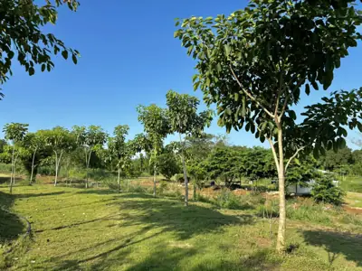 ลานกางเต็นท์บ้านรักหล้า (Baan Rakhla Camping) รูปที่ 6