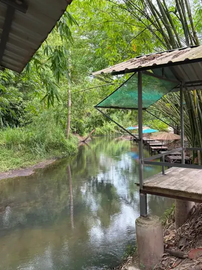 ไร่จ๋าคุณ รูปที่ 6