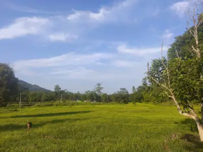 ไร่ภูกามยาว โฮมสเตย์ รูปที่ 1